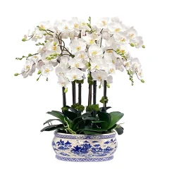 Orchid in Oval Planter 31"