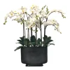 ORCHID IN RECTANGLE VASE 35"