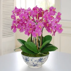 Orchid in Rose Trellis Bowl 21"