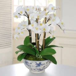 Orchid in Rose Trellis Bowl 21"