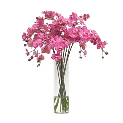 Orchid in Slim Vase 21"