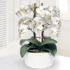 ORCHID IN URBAN COIL PLANTER 13"