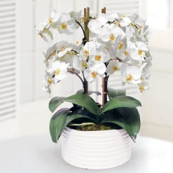 ORCHID IN URBAN COIL PLANTER 13"