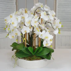 ORCHIDS IN URBAN COIL BOWL 28"
