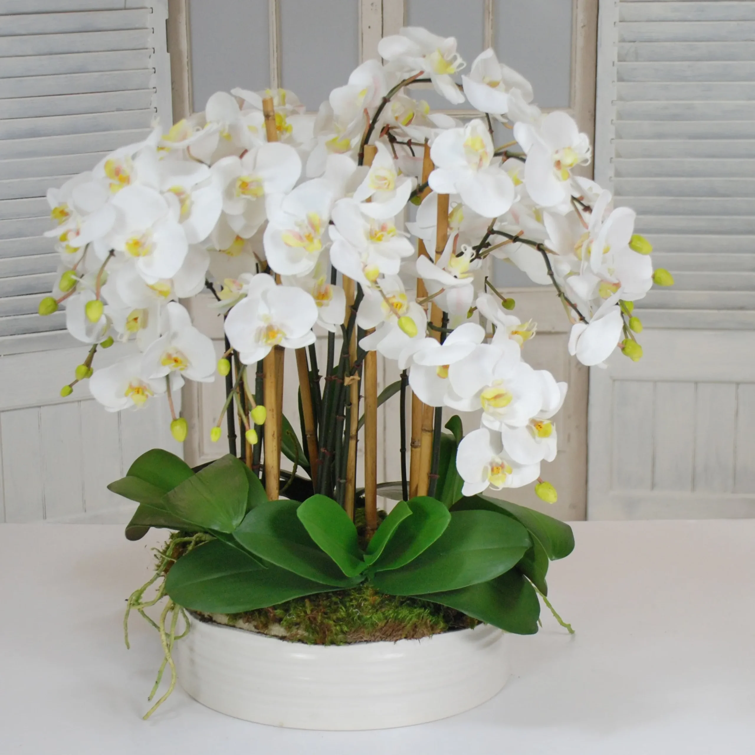 ORCHIDS IN URBAN COIL BOWL 28"