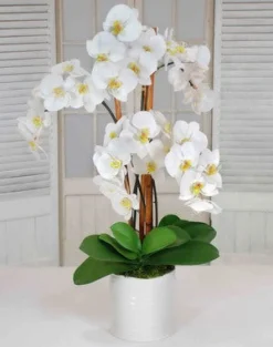 Orchids in Urban Coil Bowl 34"