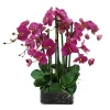 Phalaenopsis in Square Glass 22"