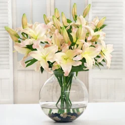 PINK LILY CASABLANCA CENTERPIECE (DP744-LP)