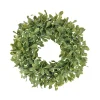 Pittosporum Spray Wreath 24"