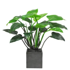 POINTED PHILO PLANTER 3.3'
