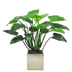 POINTED PHILO PLANTER 3.3'