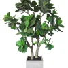 Potted Fiddle Leaf Tree in Square Planter 6.5'