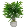 RHAPIS PALM IN STONECAST PLANTER 3'