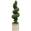 Spiral Boxwood in Planter 78"