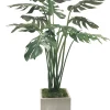 SPLIT PHILO IN PLANTER 4'
