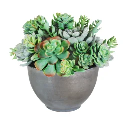SUCCULENT MIX IN BOWL 11"