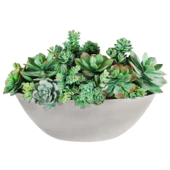 SUCCULENT MIX IN OVAL PLANTER 14''