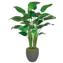 Travelers Palm in Stonecast Pot 6'