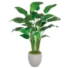 Travelers Palm in Stonecast Pot 6'