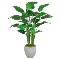 Travelers Palm in Stonecast Pot 6'