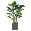 Travelers Palm Potted Tree 6'