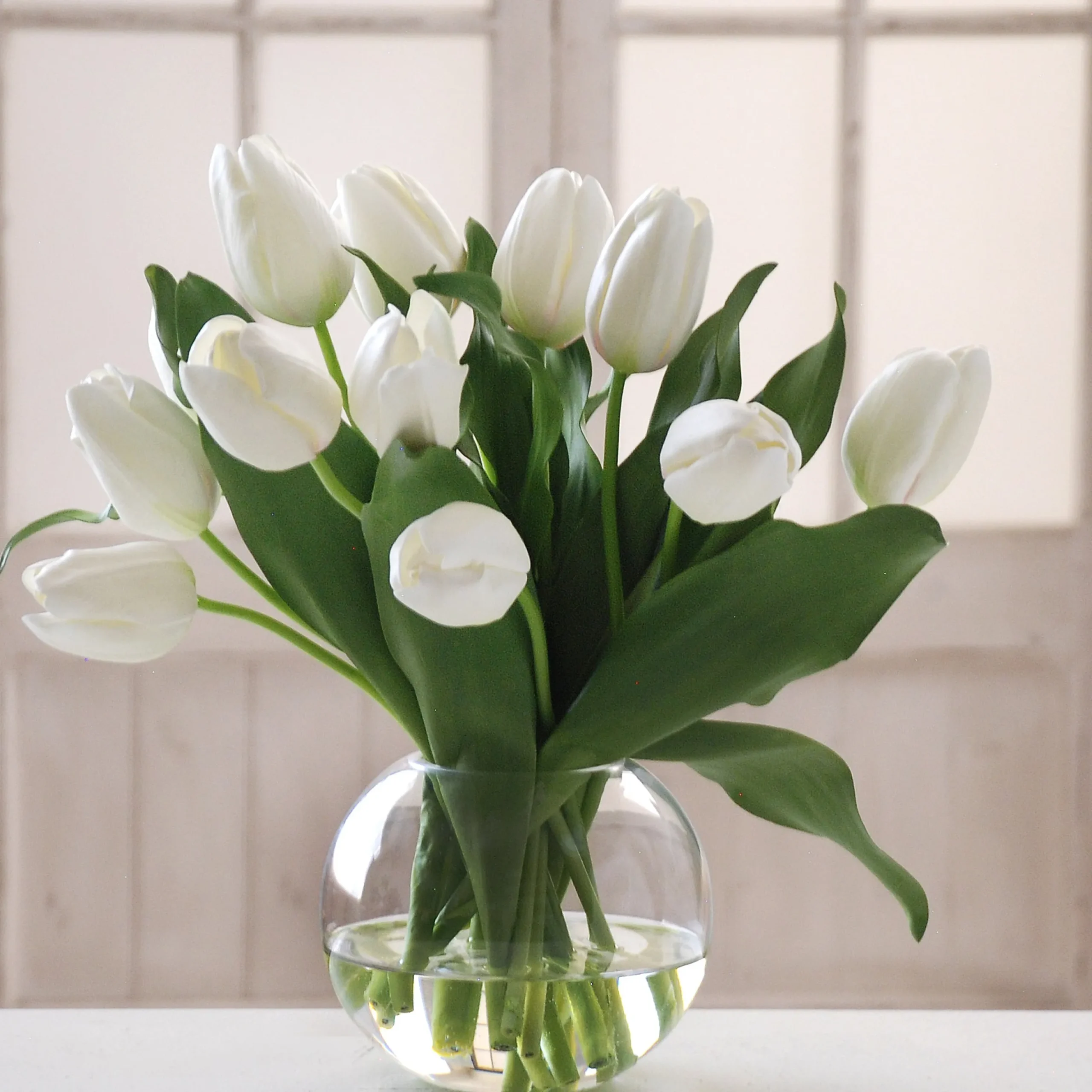 TULIP BUBBLE BOWL (WHD049-WH)
