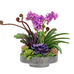 Vanda Orchid Succulent in Planter 24"