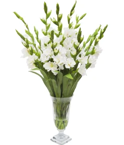 WHITE GLADIOLUS IN CUT VASE (WHD167-WH)