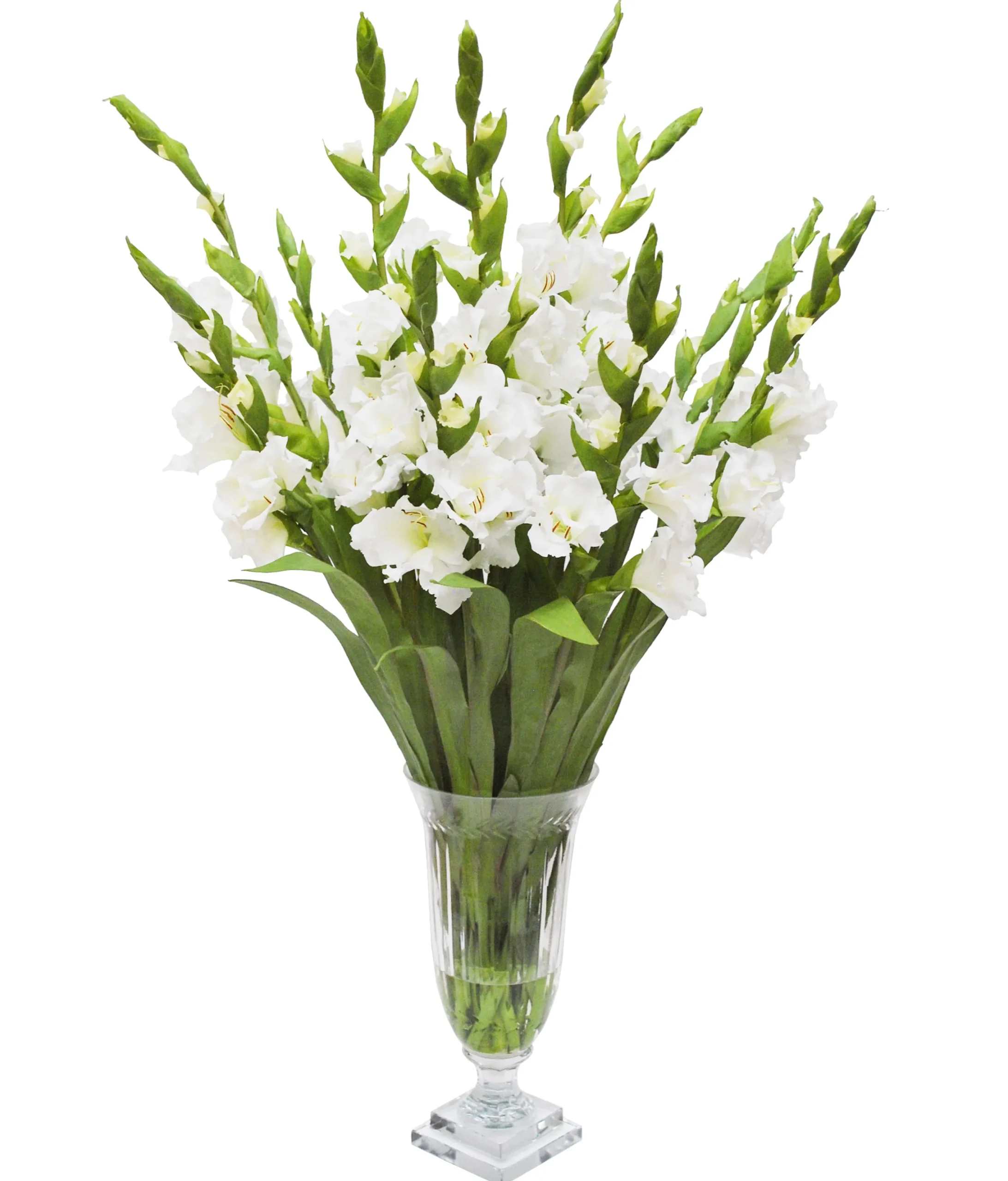 WHITE GLADIOLUS IN CUT VASE (WHD167-WH)