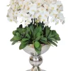 WHITE ORCHID ICON IN SILVER CONTAINER 48"