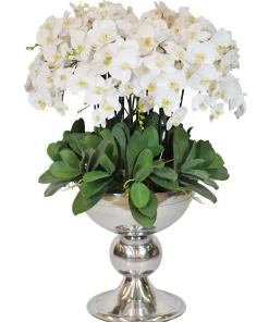 WHITE ORCHID ICON IN SILVER CONTAINER 48"